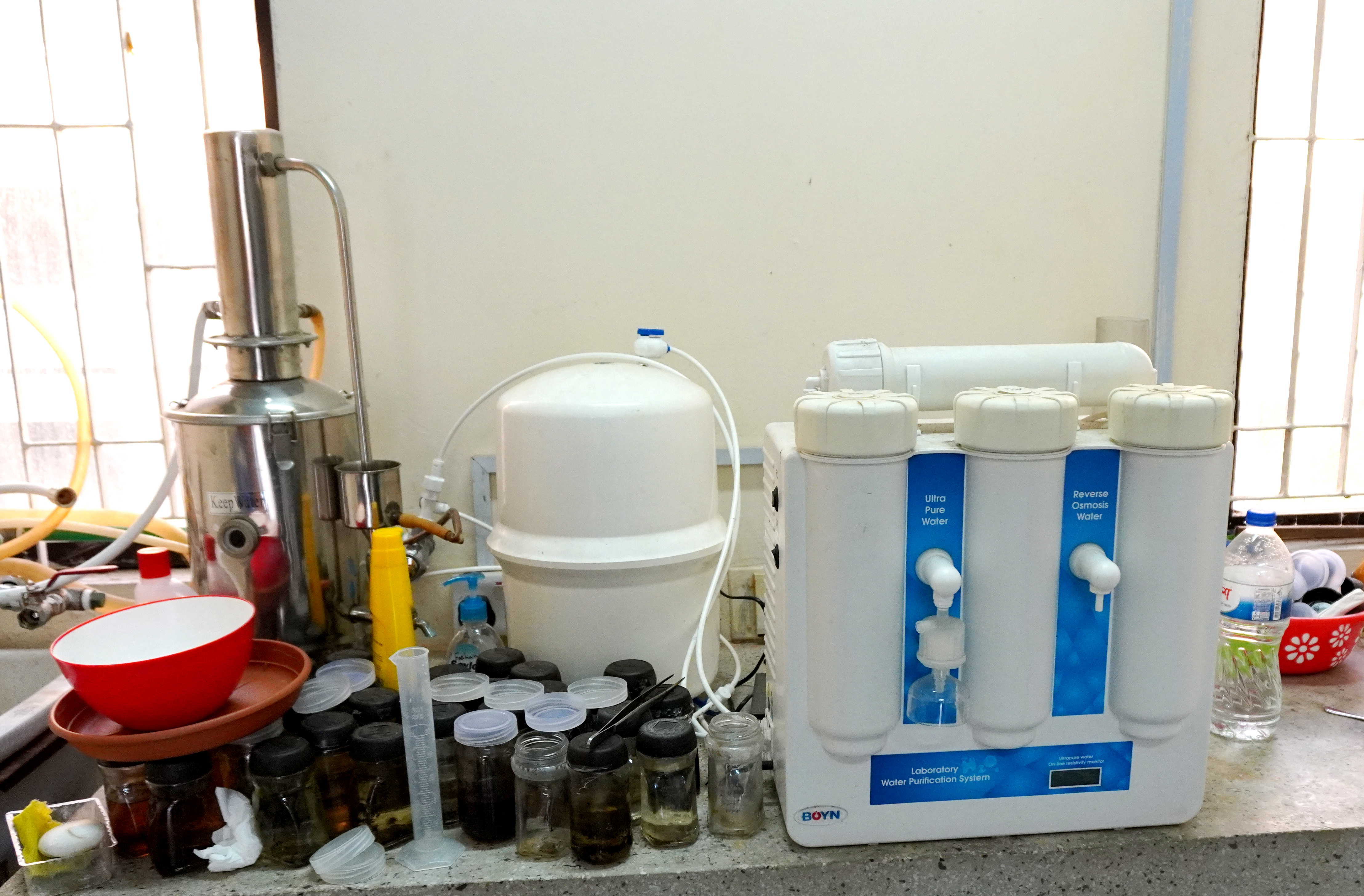 Departmental Research Opportunities'