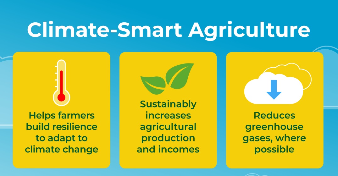 Department of Climate Smart Agriculture